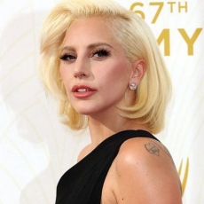 <b>Lady Gaga瘦了30斤 这一年她做了什么</b>
