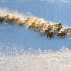 十一月最适合去北方看雪 去南方看海