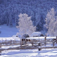 <b>被遗忘的“国内雪国” 一到冬天就美出了天际</b>